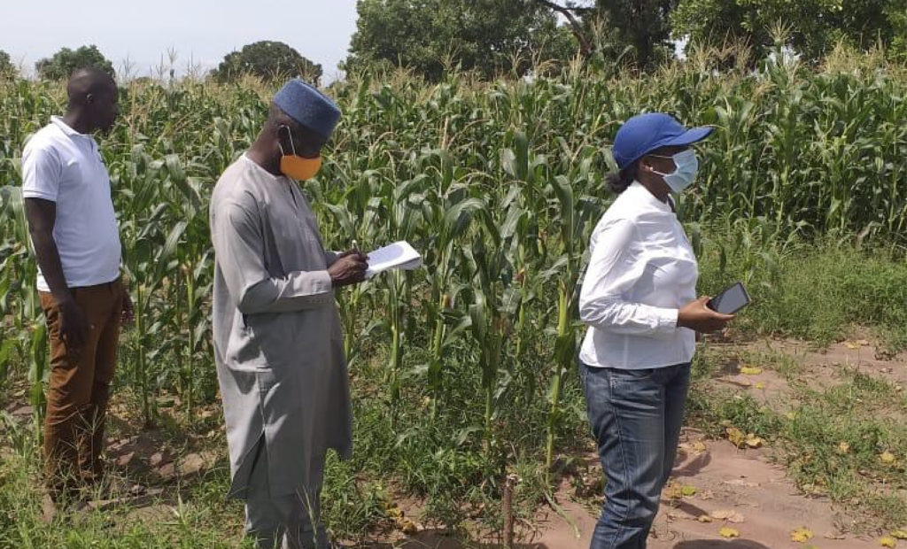 How SABUS is Empowering the Next Generation of African Farmers